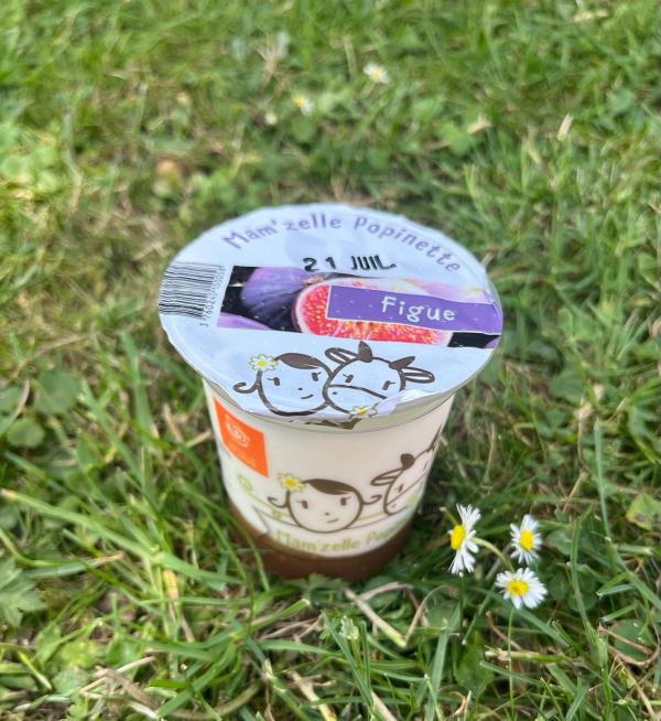 BRASSE SUR LIT DE FRUIT : FIGUE